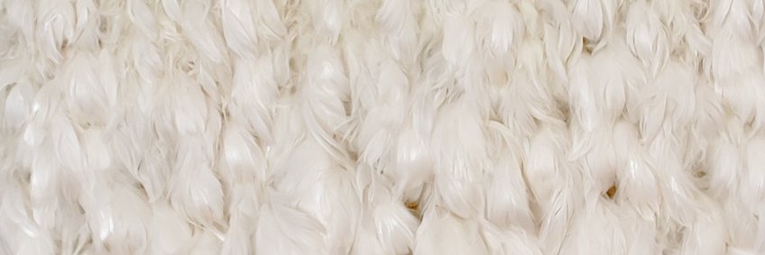 atrovis's profile banner image