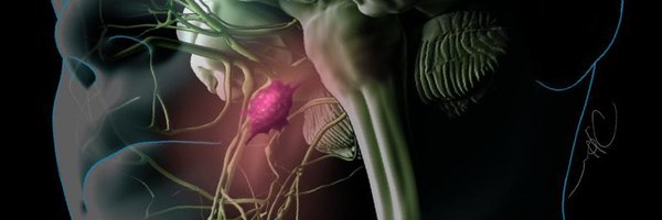 moranamit2 Profile Banner
