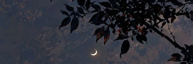 EmCarpino_'s profile banner image