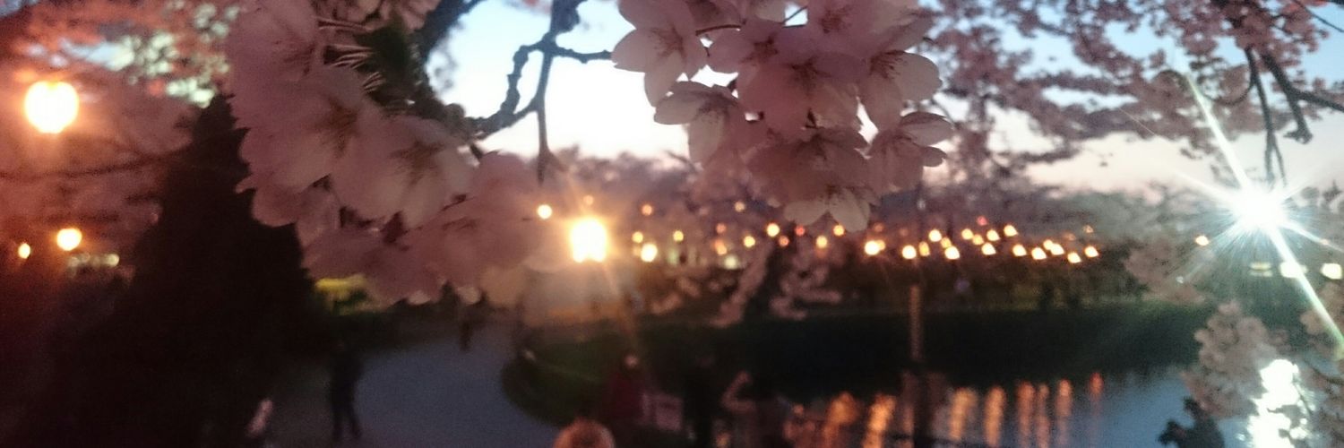 mochipanda418's profile banner image