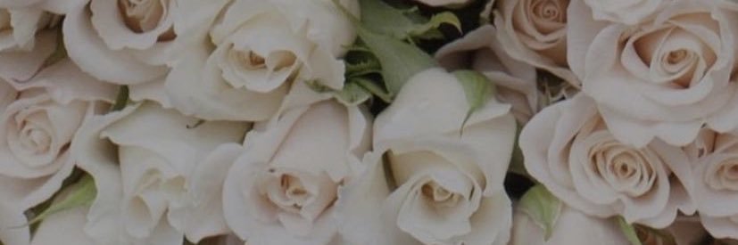 saydavee's profile banner image