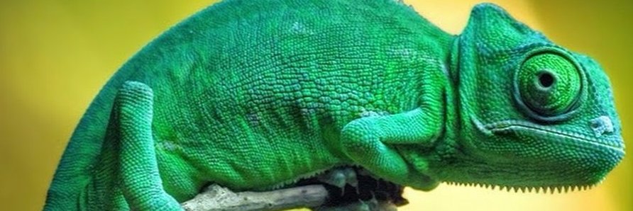 RockOki22's profile banner image