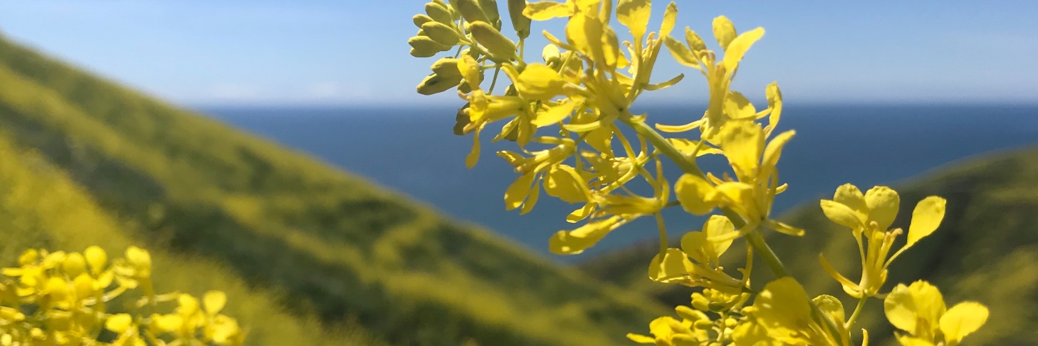 laradesanto's profile banner image