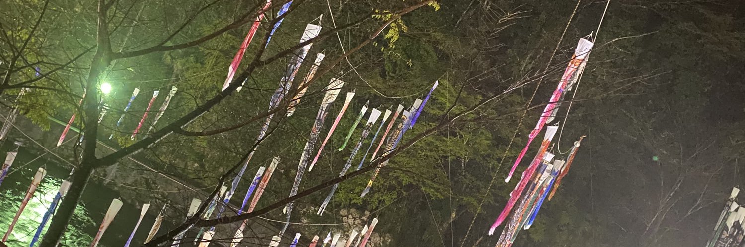 torisagan17's profile banner image
