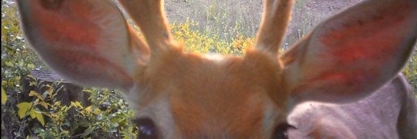 taliaryder Profile Banner