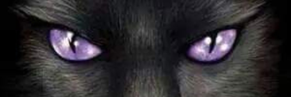 DarkToon710's profile banner image