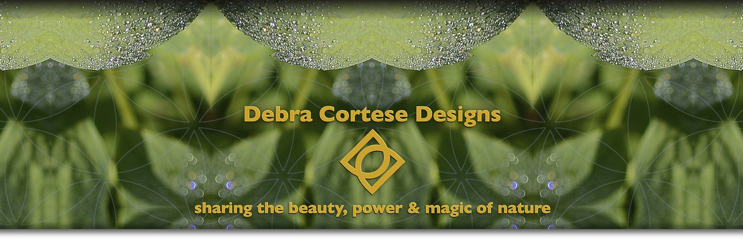 debracortese's profile banner image