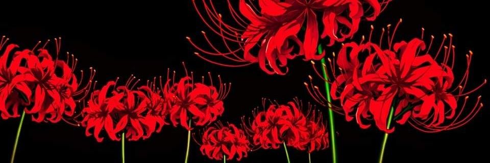 ceillll_'s profile banner image