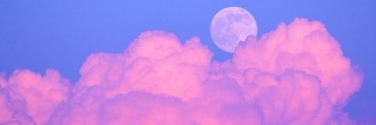 EyeBeaut's profile banner image