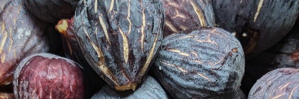 blaiserver Profile Banner