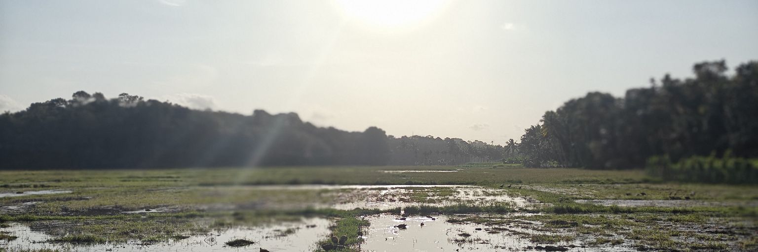 ajisptpm's profile banner image