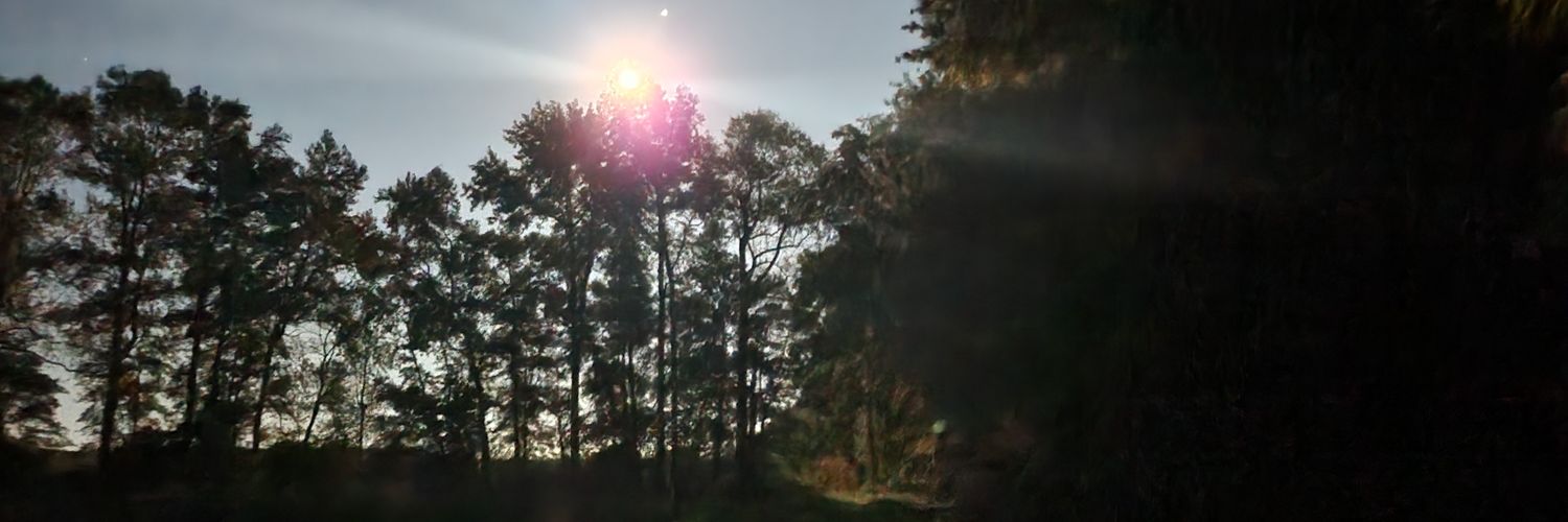 IntellectualSasquatch banner