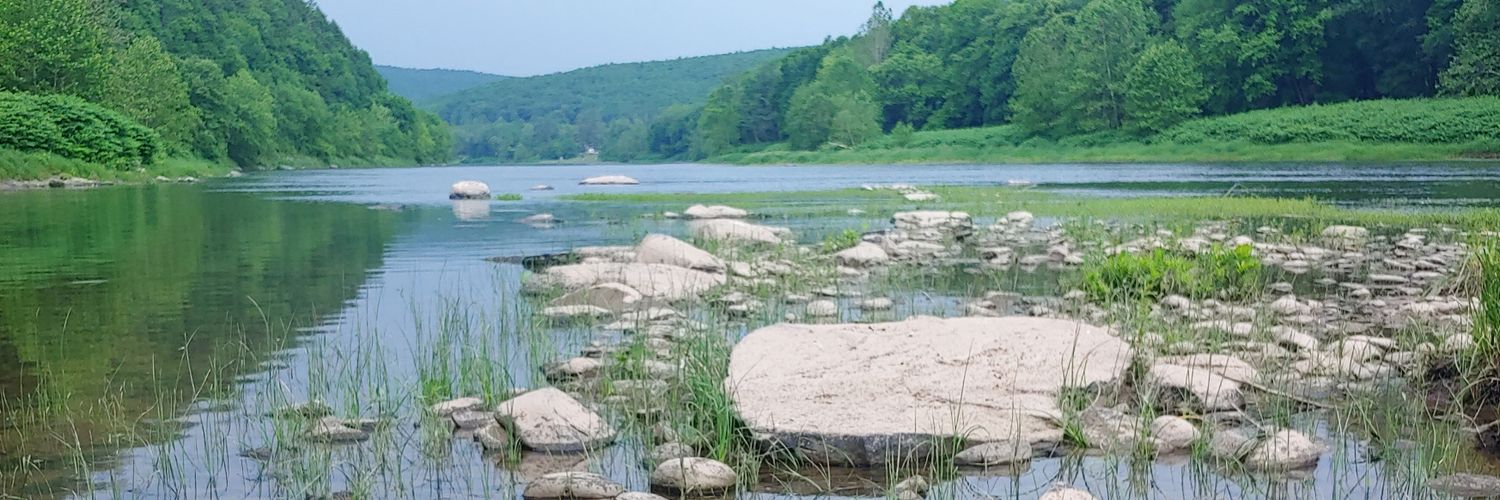 Lauren Mosesso, PhD banner