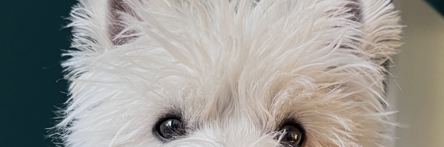 pauliarag's profile banner image