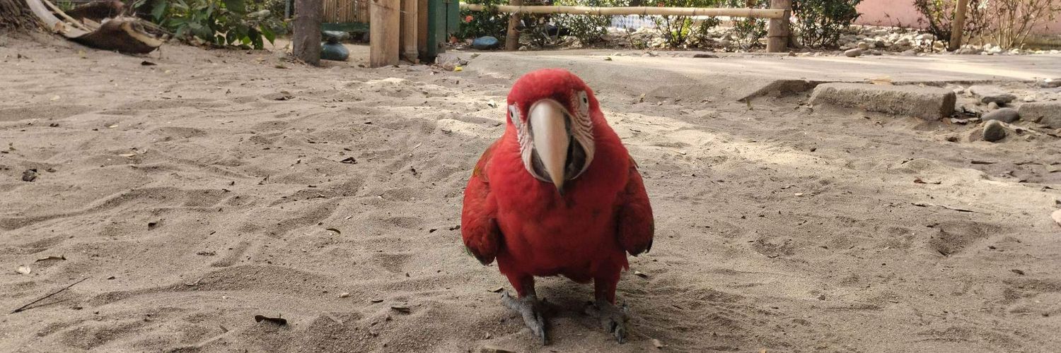 arulado's profile banner image