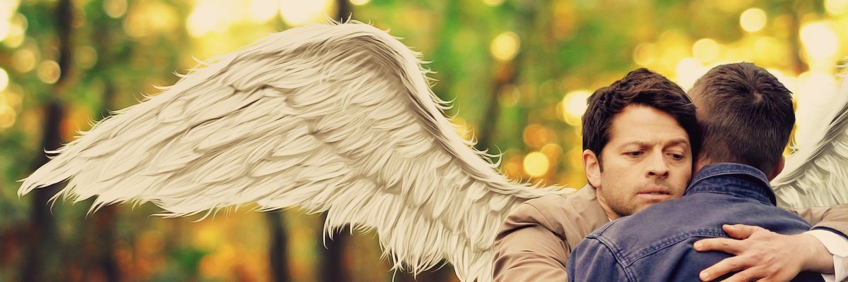Cassostodo's profile banner image