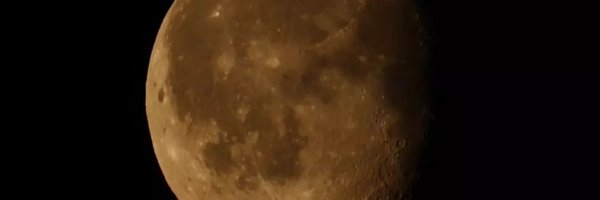 LunaCartayrade Profile Banner