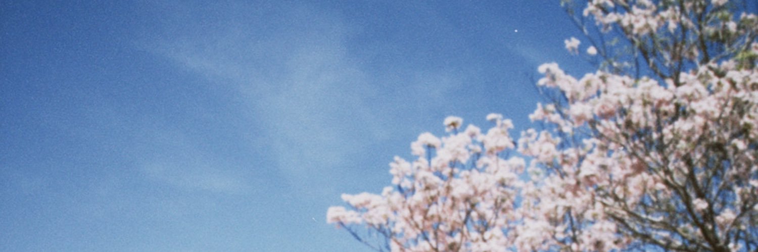 larimaryuu's profile banner image