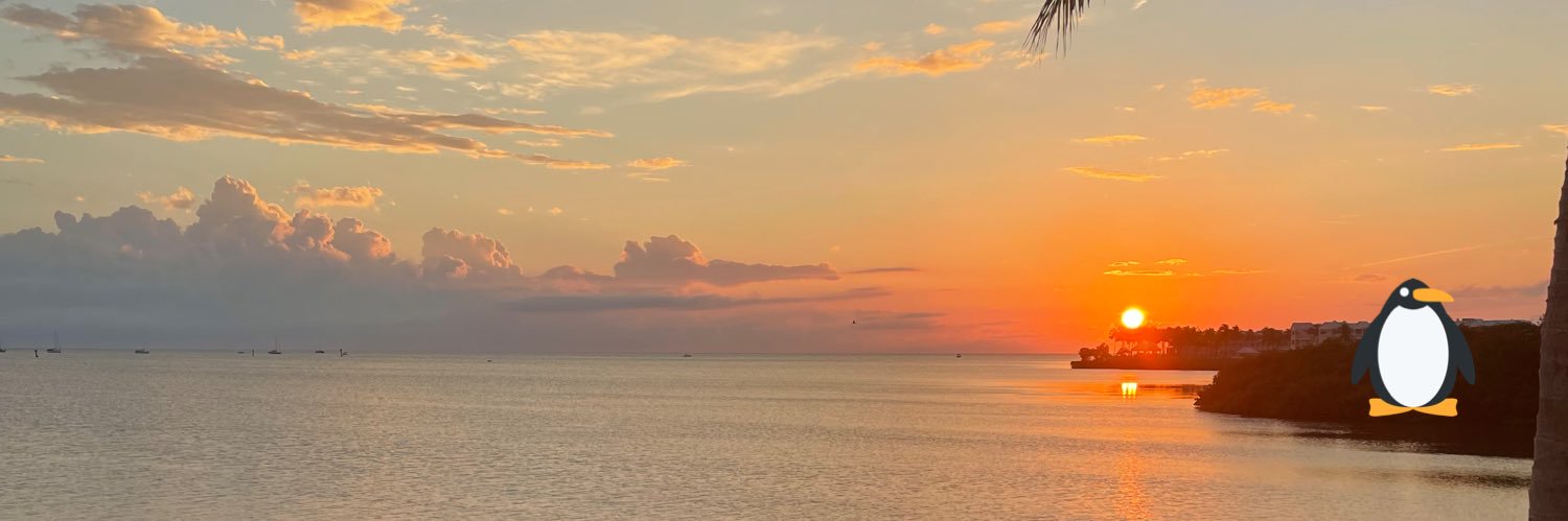 Kelsey Weaver banner