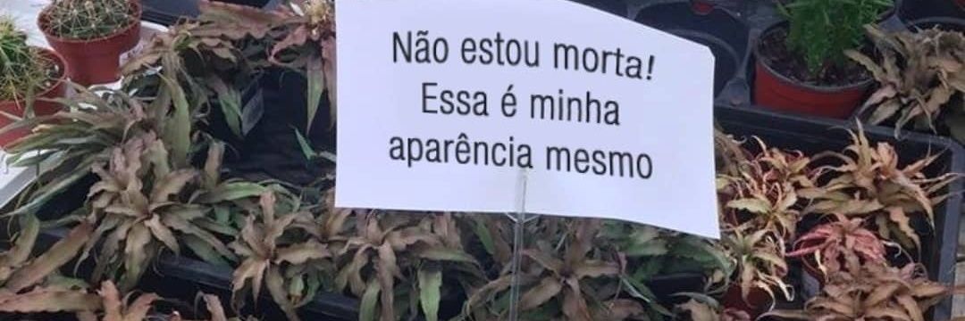 mariana lesbiana banner