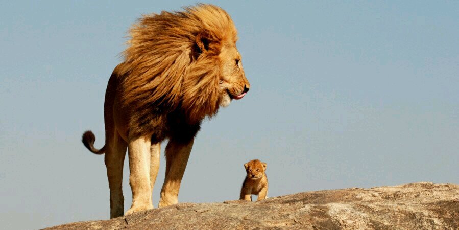 Sheffer Wafer banner