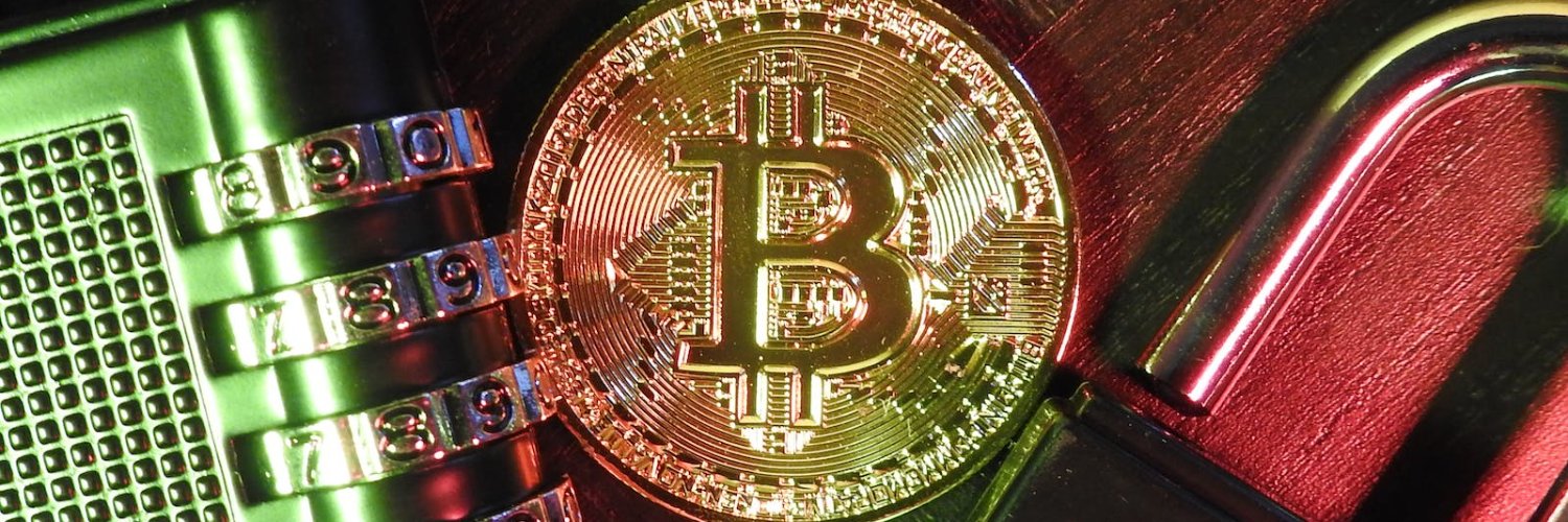 Gabriel Pavanella banner