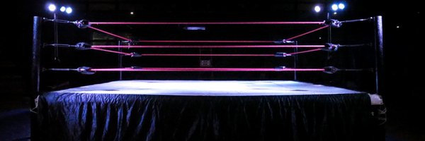 Limitless Wrestling Profile Banner