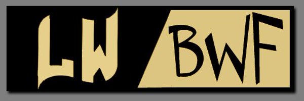 Limitless_LW Profile Banner