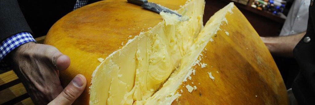 Cheese BouTweet (@Cheese_Boutique) / Posts / X