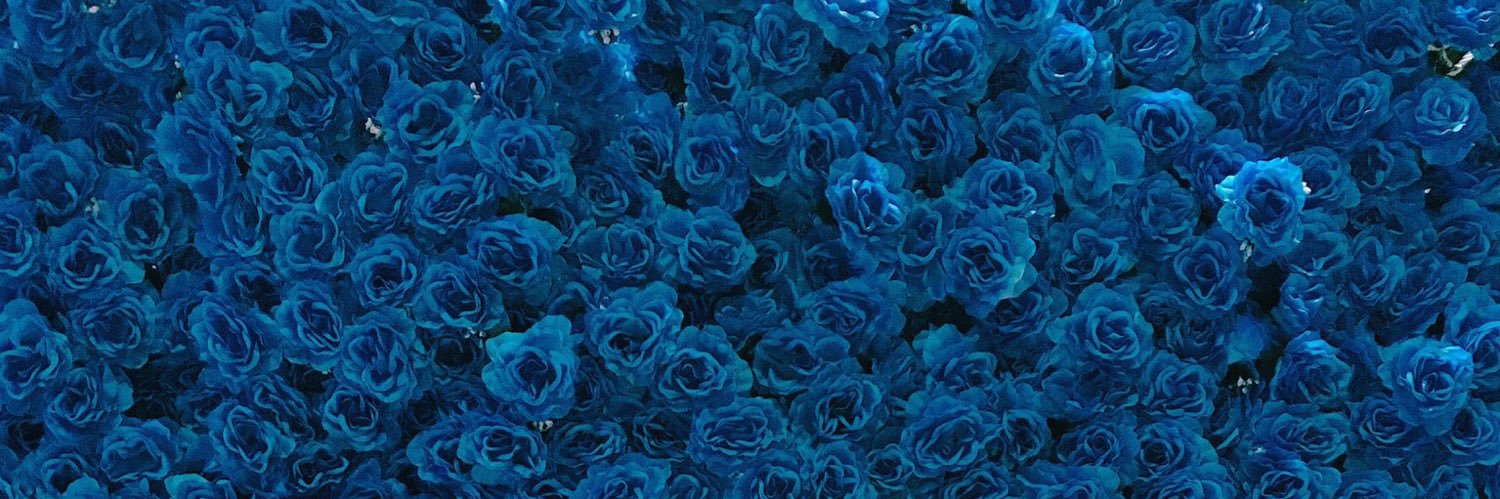 AlyaSDP's profile banner image