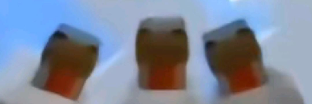 NetrCturngkh's profile banner image
