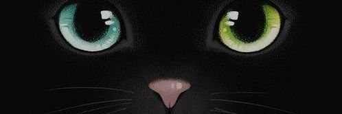 Ai. banner