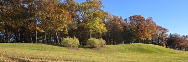 Surgingfireball Profile Banner