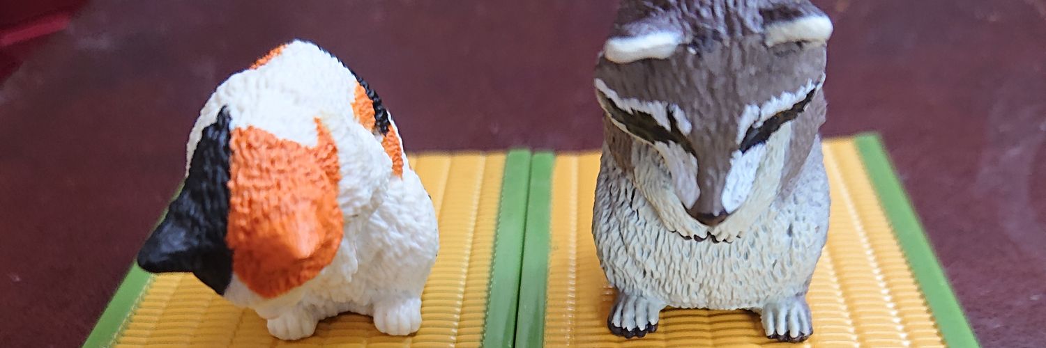 voices06's profile banner image