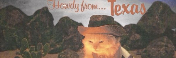 softhosea Profile Banner