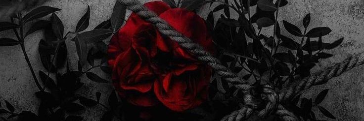 bluejane's profile banner image