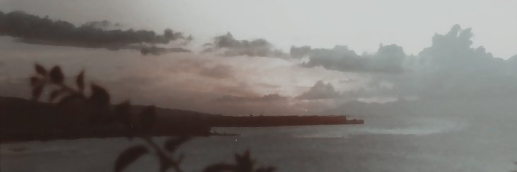 G0LDCHASER's profile banner image