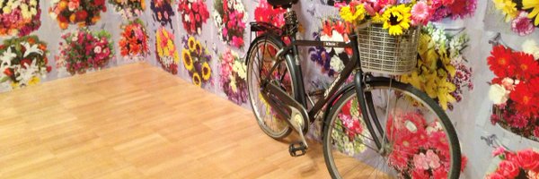 mintomusings Profile Banner