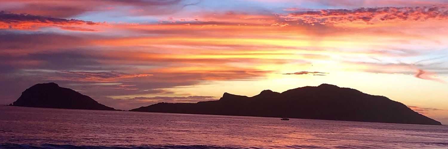 anaborquezc's profile banner image