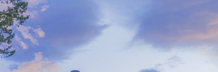 Pxnch02 banner