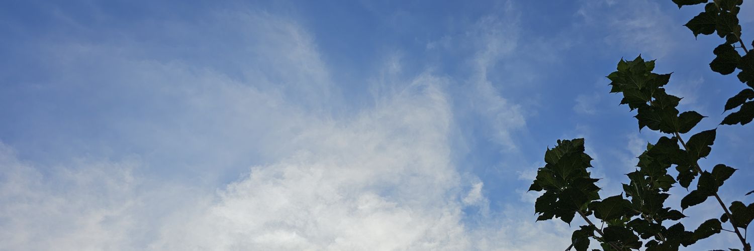 nattyis___'s profile banner image
