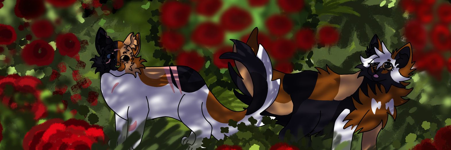 CloudWatcher ☁️ banner