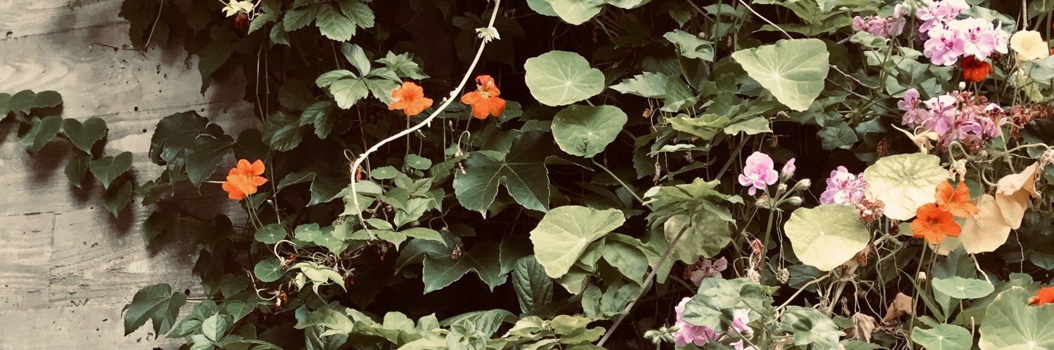 caraadoyle's profile banner image