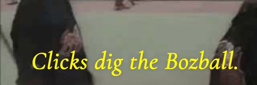 Boz's banner