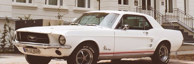 laura_priii's profile banner image