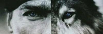ccelik44's profile banner image