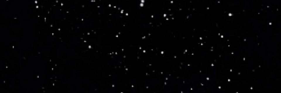 winterfelldier's profile banner image