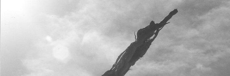 Dan D 🌎🌍🌏 banner