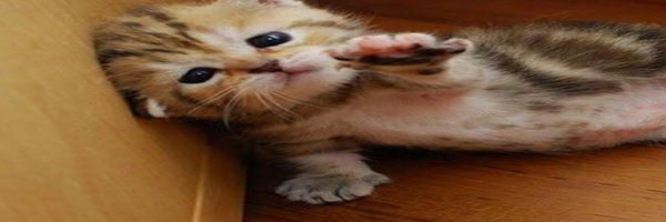 minsugooner Profile Banner
