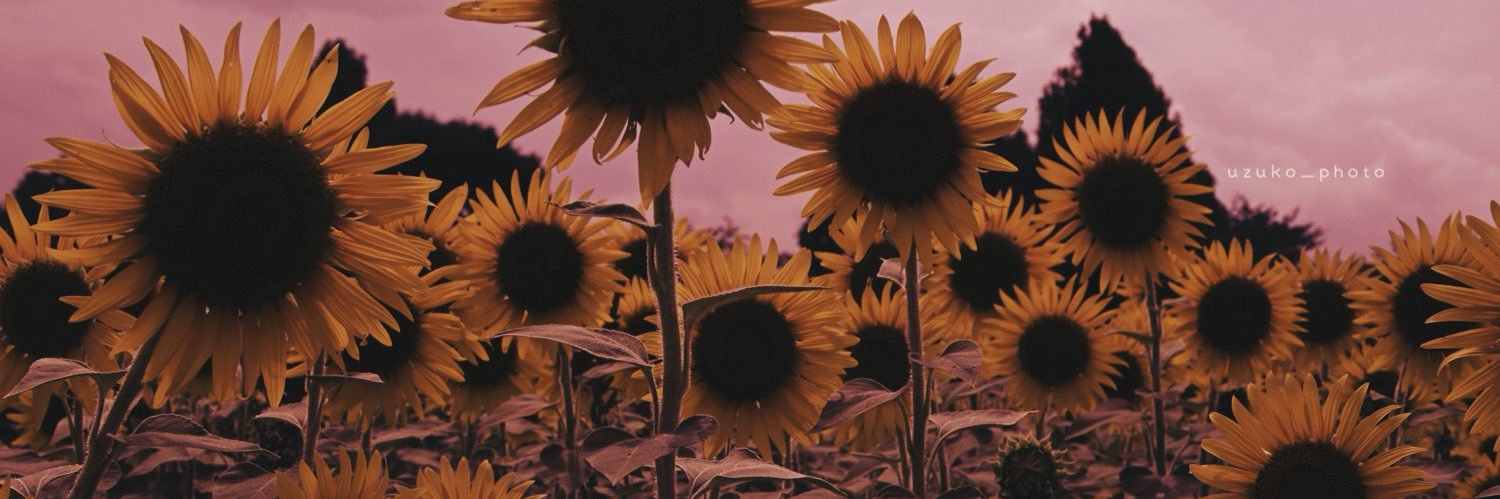 LittleThings_LS's profile banner image